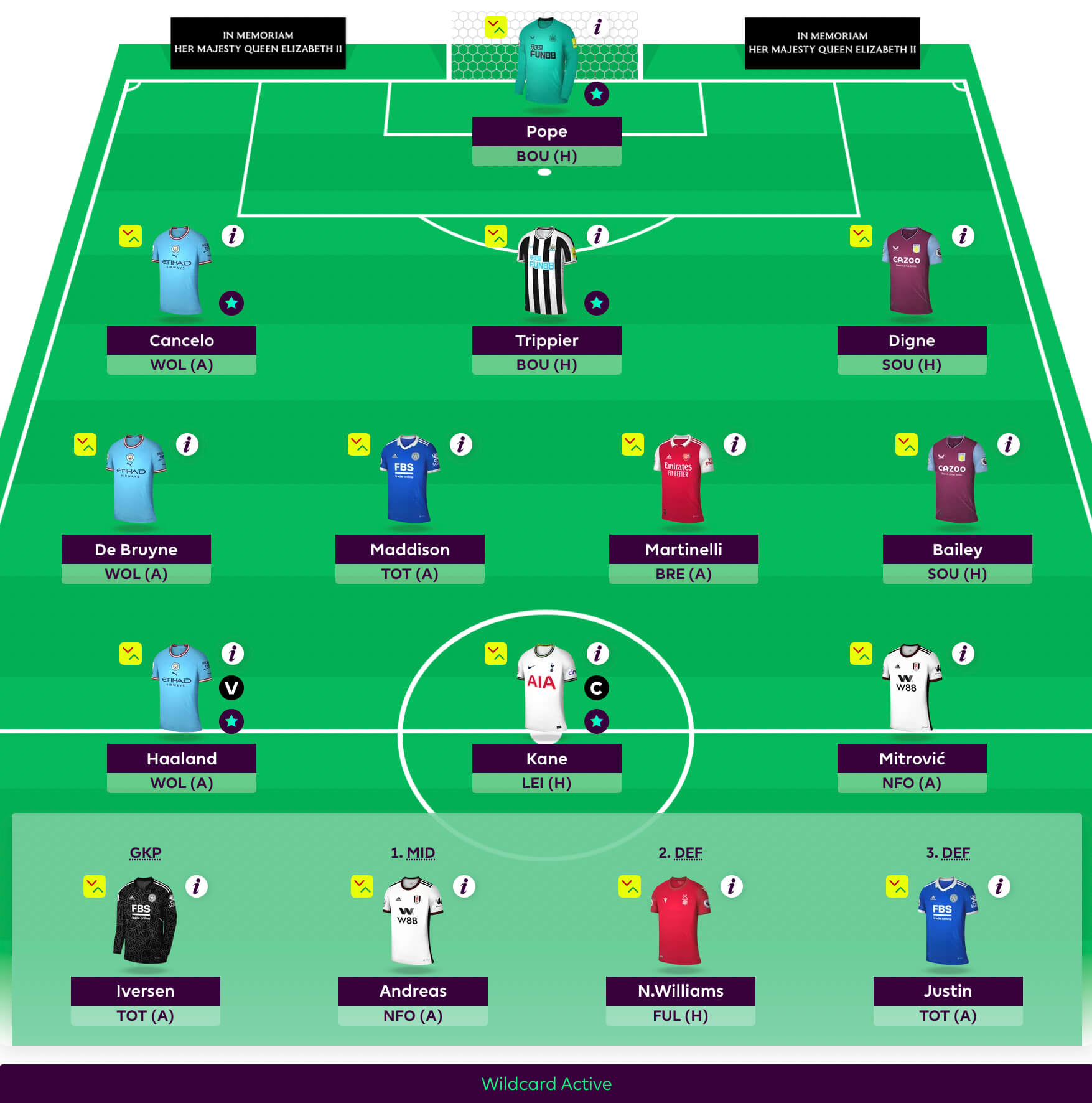 FPL GW8 WILDCARD TEAM